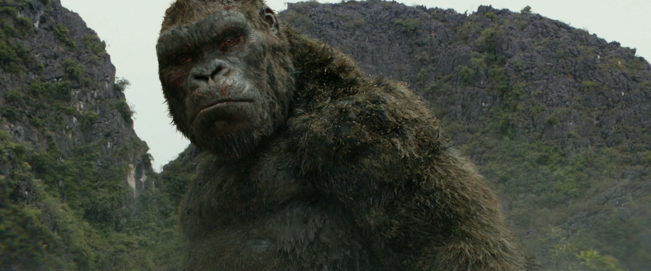 Kong.Skull.Island.2017.1080p.BluRay.x264.DTS-HD.MA.7.1-FGT.mkv_006274820.png