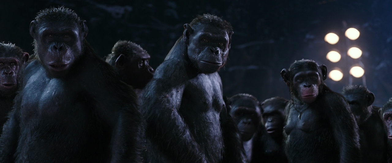 War.for.the.Planet.of.the.Apes.2017.1080p.BluRay.x264.Hi10P.AC3-ONe.mkv_014445920.png