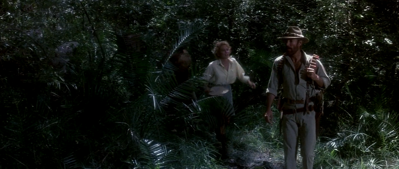 King.Solomons.Mines.1985.1080p.BluRay.H264.AAC-RARBG.mp4_000153611.png