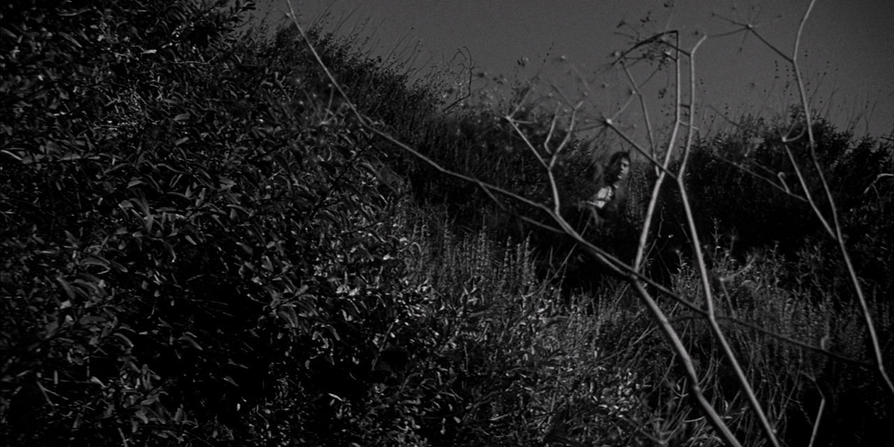 Invasion of the Body Snatchers (1956) (1080p BluRay x265 HEVC 10bit AAC 2.0 Tigole).mkv_011320217.png