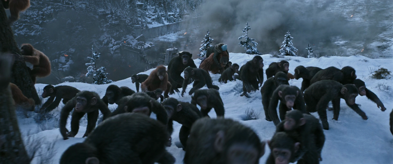 War.for.the.Planet.of.the.Apes.2017.1080p.BluRay.x264.Hi10P.AC3-ONe.mkv_020451304.png