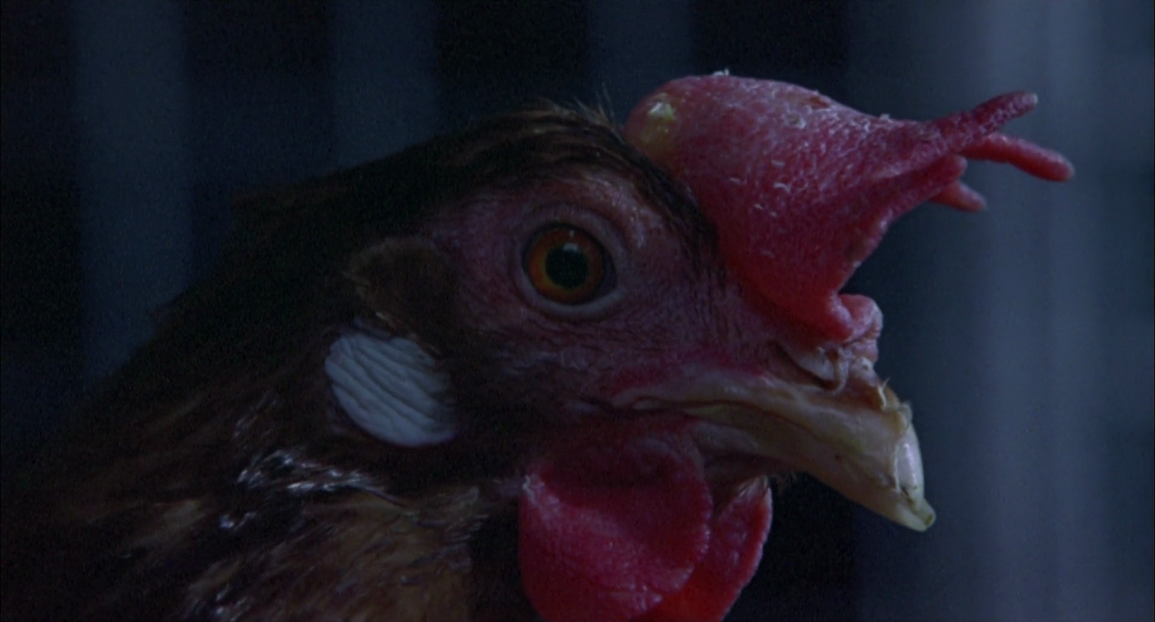 착신아리 파이널.One.Missed.Call.Final.2006.JAPANESE.1080p.BluRay.H264.AAC-VXT.mp4_000037106.png