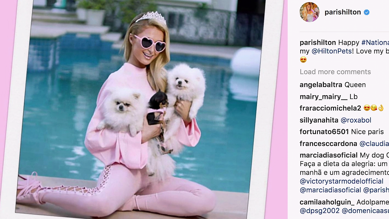 아메리칸 밈 . The.American.Meme.2018.1080p.WEB.x264-STRiFE.mkv_001418501.png