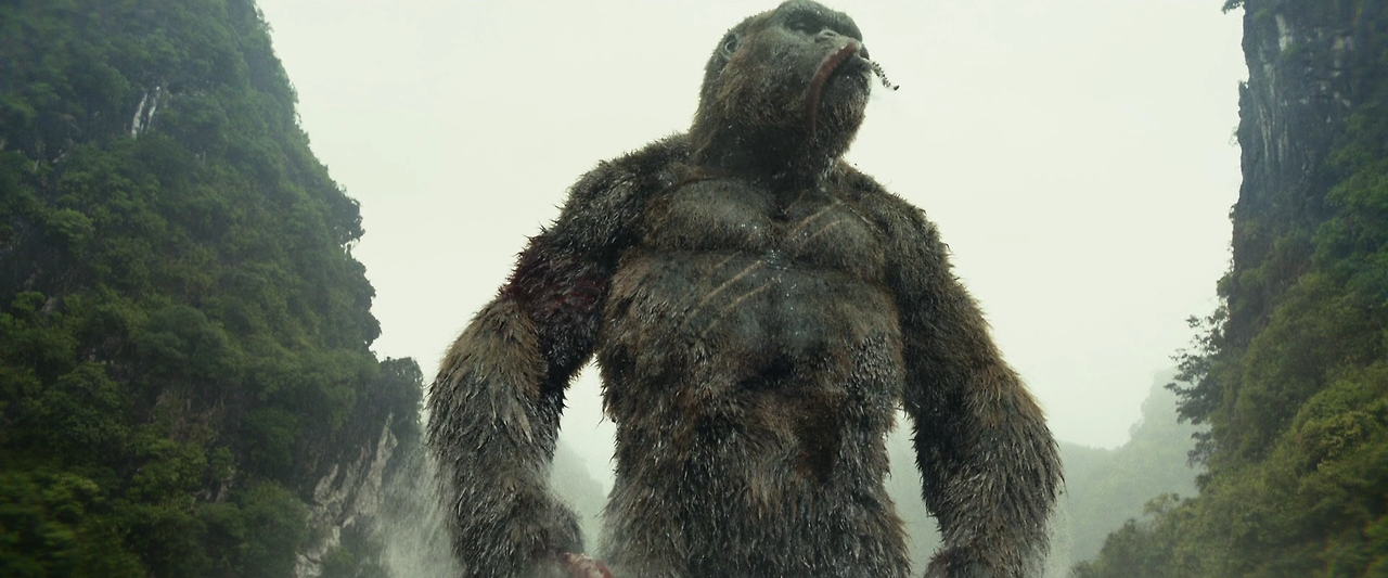 Kong.Skull.Island.2017.1080p.BluRay.x264.DTS-HD.MA.7.1-FGT.mkv_003001128.png