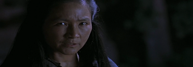 Wo.hu.cang.long.2000.SC.DVDrip.XviD.DTS.CD1-WAF.avi_003342949.png