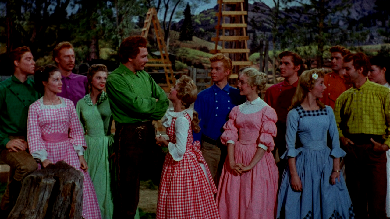 Seven.Brides.for.Seven.Brothers.1954.Alt.WS.Version.1080p.BluRay.x264-PSYCHD.mkv_002877666.png