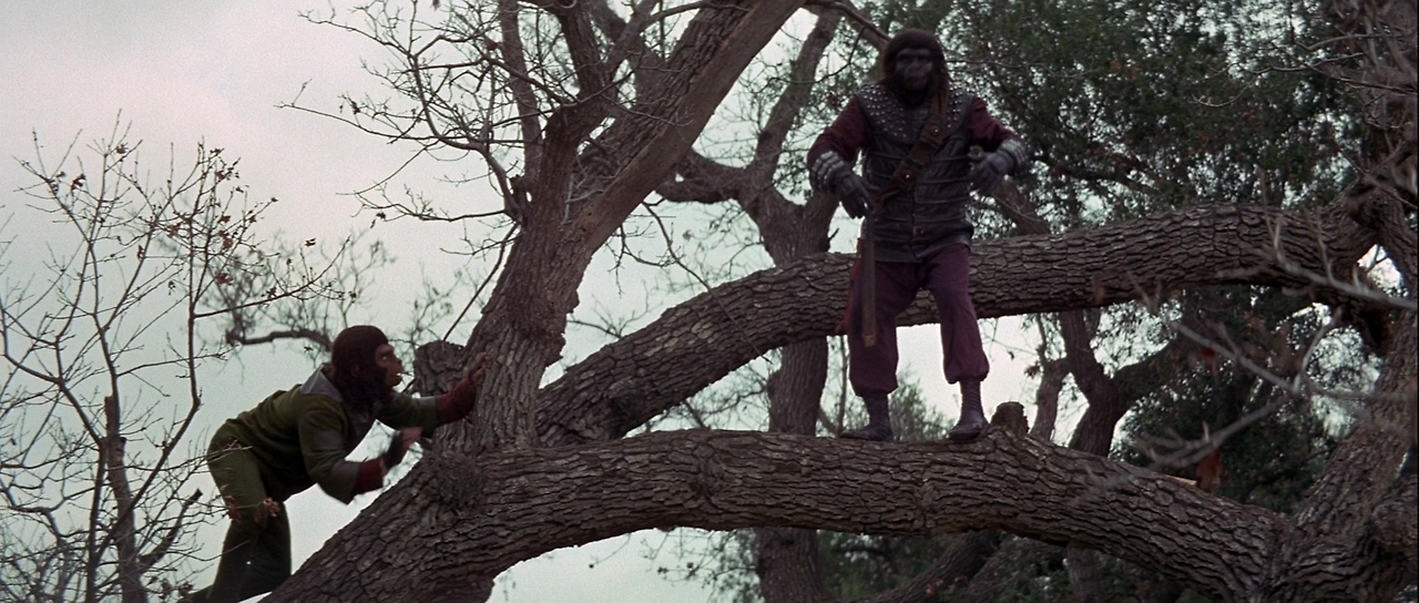 1973 Battle.For.The.Planet.Of.The.Apes.1973.1080p.BluRay.x264-SPARKS.mkv_004909371.png