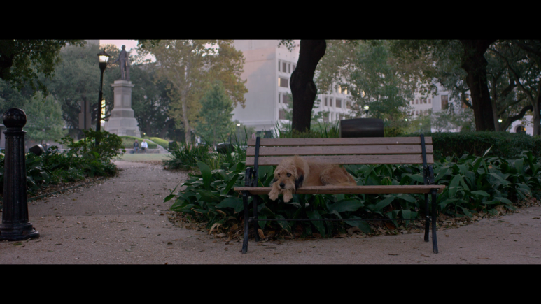 ★★_최신영화_서양영화_★★_벤지(자체자막).Benji.2018.1080p.NF.WEB-DL.DD5.1.x264-NTGEtHD.mkv_0 (5).png