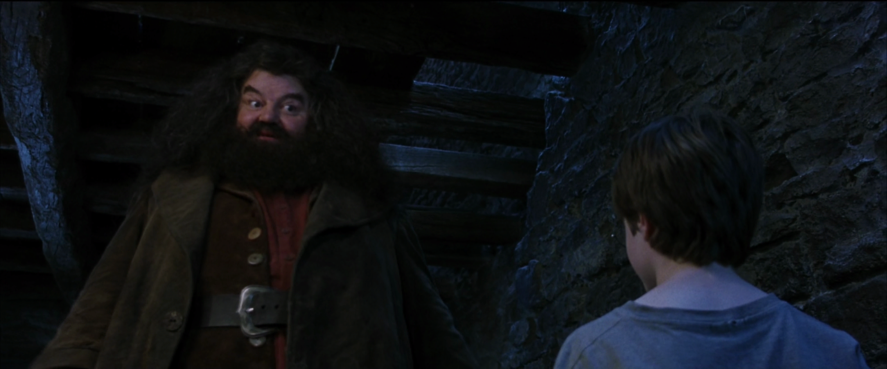 해리 포터와 마법사의 돌.Harry.Potter.and.the.Sorcerer's.Stone.2001.1080p.HQ.10bit.BluRay.5.1.x265.HEVC-MZABI.mkv_001551422.png