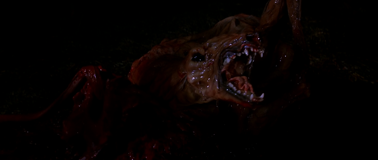 The Thing 1982 X265 UHD 900p-MisterY.mkv_001866031.png