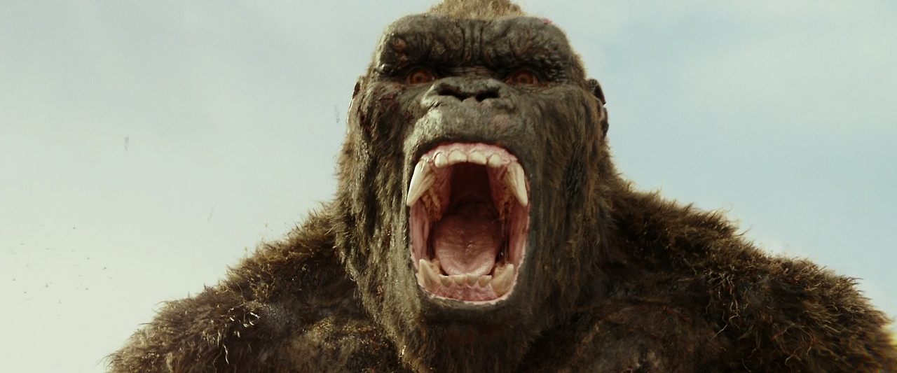 Kong.Skull.Island.2017.1080p.BluRay.x264.DTS-HD.MA.7.1-FGT.mkv_006410873.png