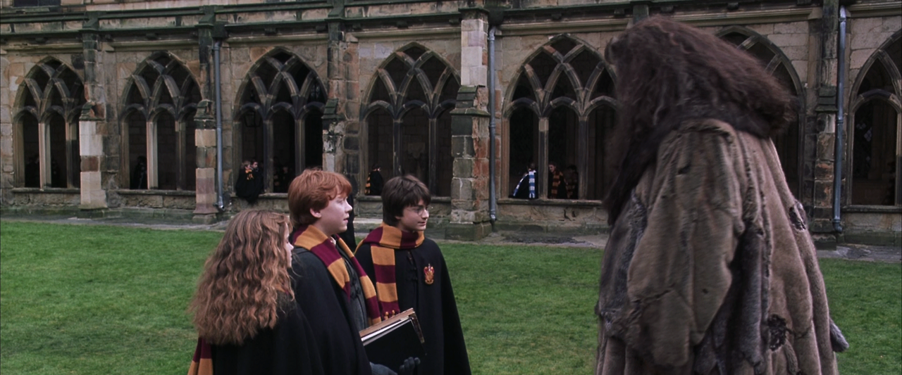 해리 포터와 비밀의 방.Harry.Potter.and.the.Chamber.of.Secrets.2002.1080p.HQ.10bit.BluRay.5.1.x265.HEVC-MZABI.mkv_014712493.png