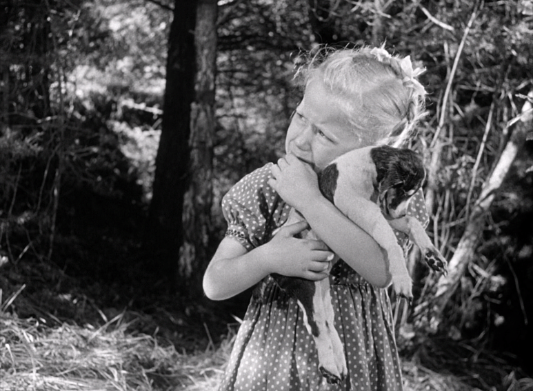 금지된_장난.Forbidden_Games.1952.1080p.BluRay.x265.HEVC.10bit.AAC.2.0.French-afm7 (6).png