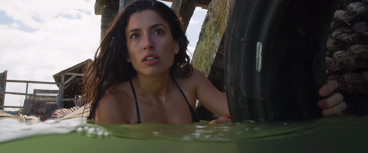 딥 블루 씨 3 Deep.Blue.Sea.3.2020.1080p.BluRay.x265-RARBG.mp4_005343509.png