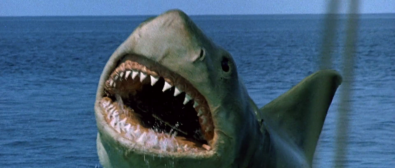 Jaws.The.Revenge.1987.1080p.BluRay.H264.AAC-RARBG.mp4_012320142.png