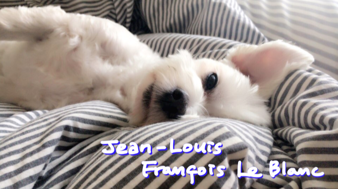 Untitled_Artwork 3.png