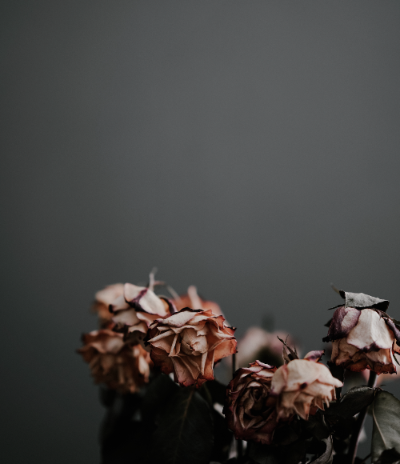 스크린샷 2023-06-16 오전 11.36.40.png