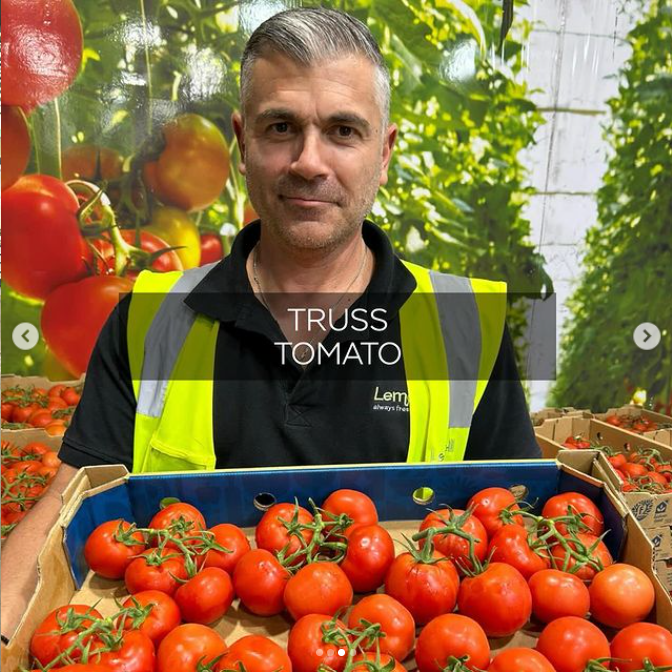 QE's Fresh picks.png