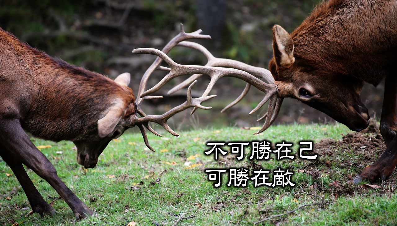 마인드가 전부다.png