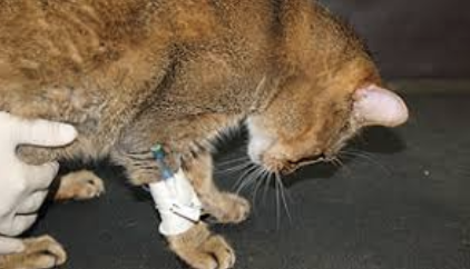 스크린샷 2024-04-29 오후 2.53.45.png