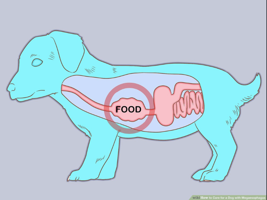스크린샷 2024-04-30 오후 6.09.01.png