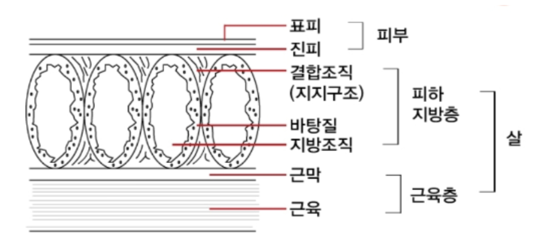 스크린샷 2020-11-27 오후 2.29.45.png