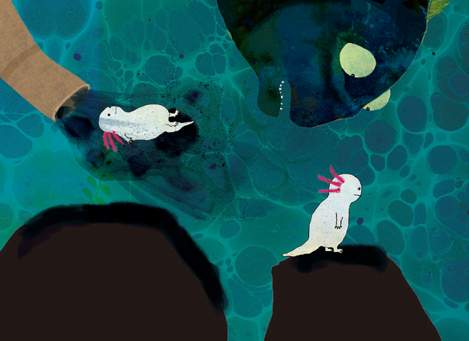 그림6-외로운 아홀로틀 이야기_본문.png