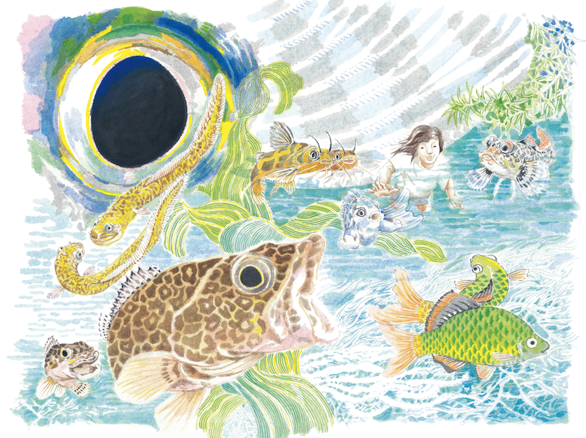 그림1-행복한 붕붕어_메인.png