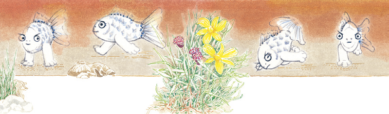 그림2-행복한 붕붕어_본문1.png