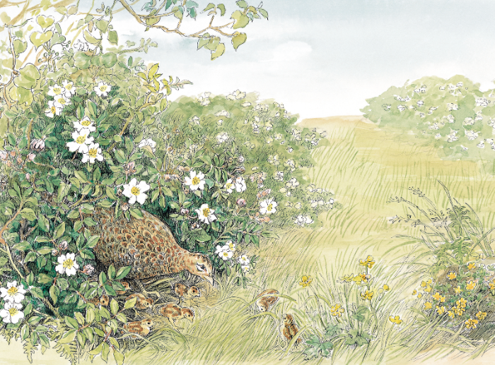 그림1-봄이 들면_메인.png