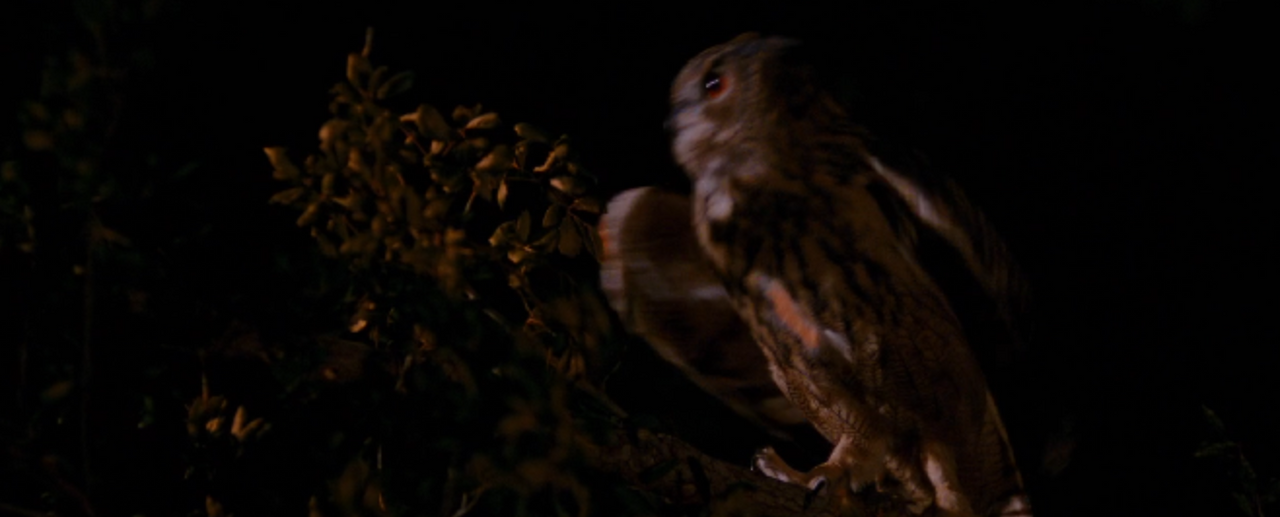 스크린샷 2015-12-06 오후 11.15.22.png