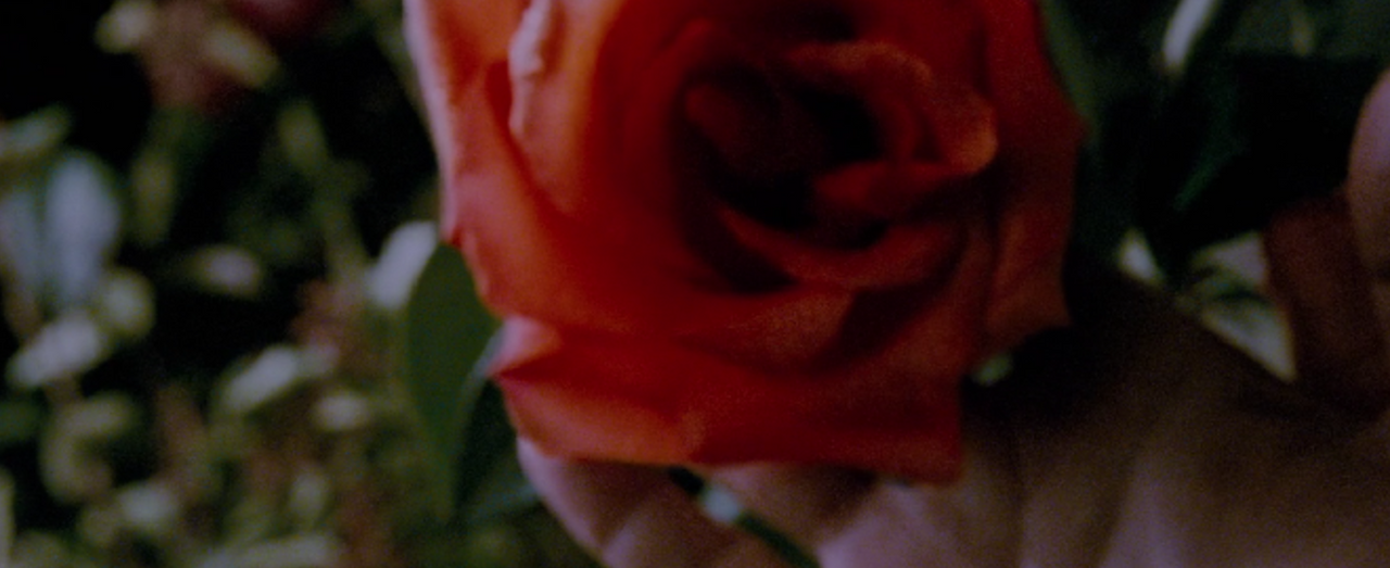 스크린샷 2015-12-06 오후 8.04.25.png