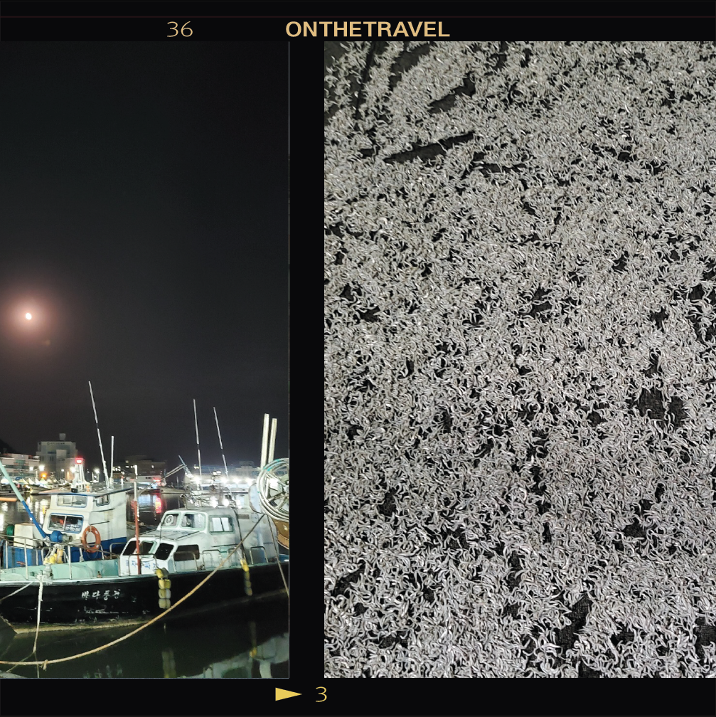 대지 2 사본 2.png