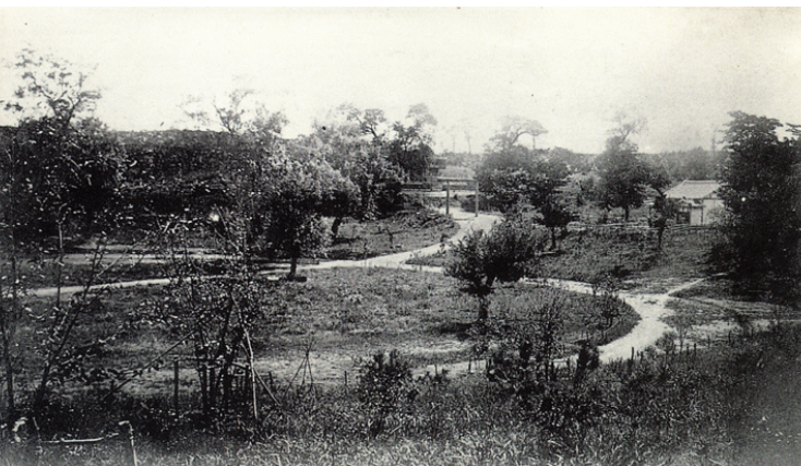 대구 달성공원.png