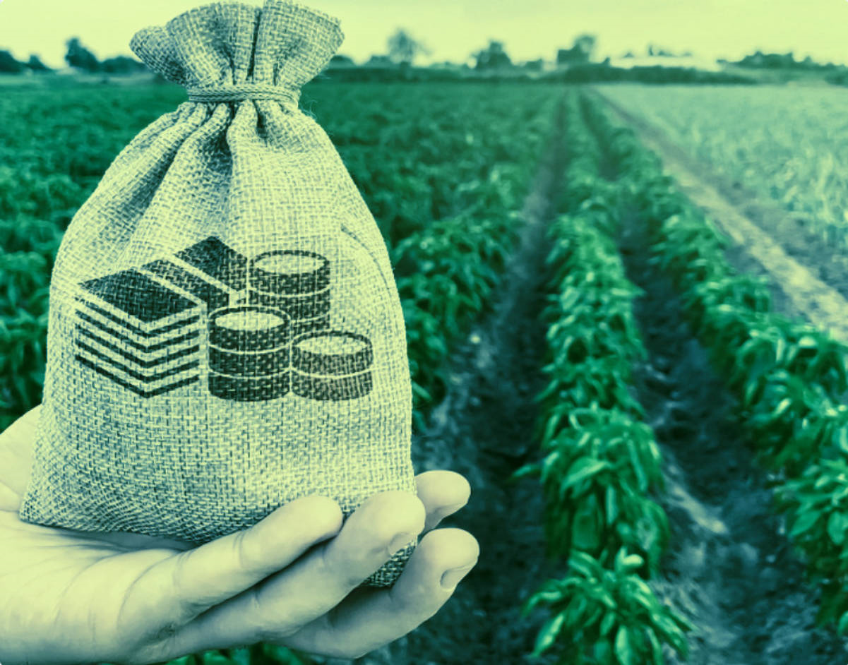 안전한 코인투자, 그거 어떻게 하는건데 - 실전편[1]