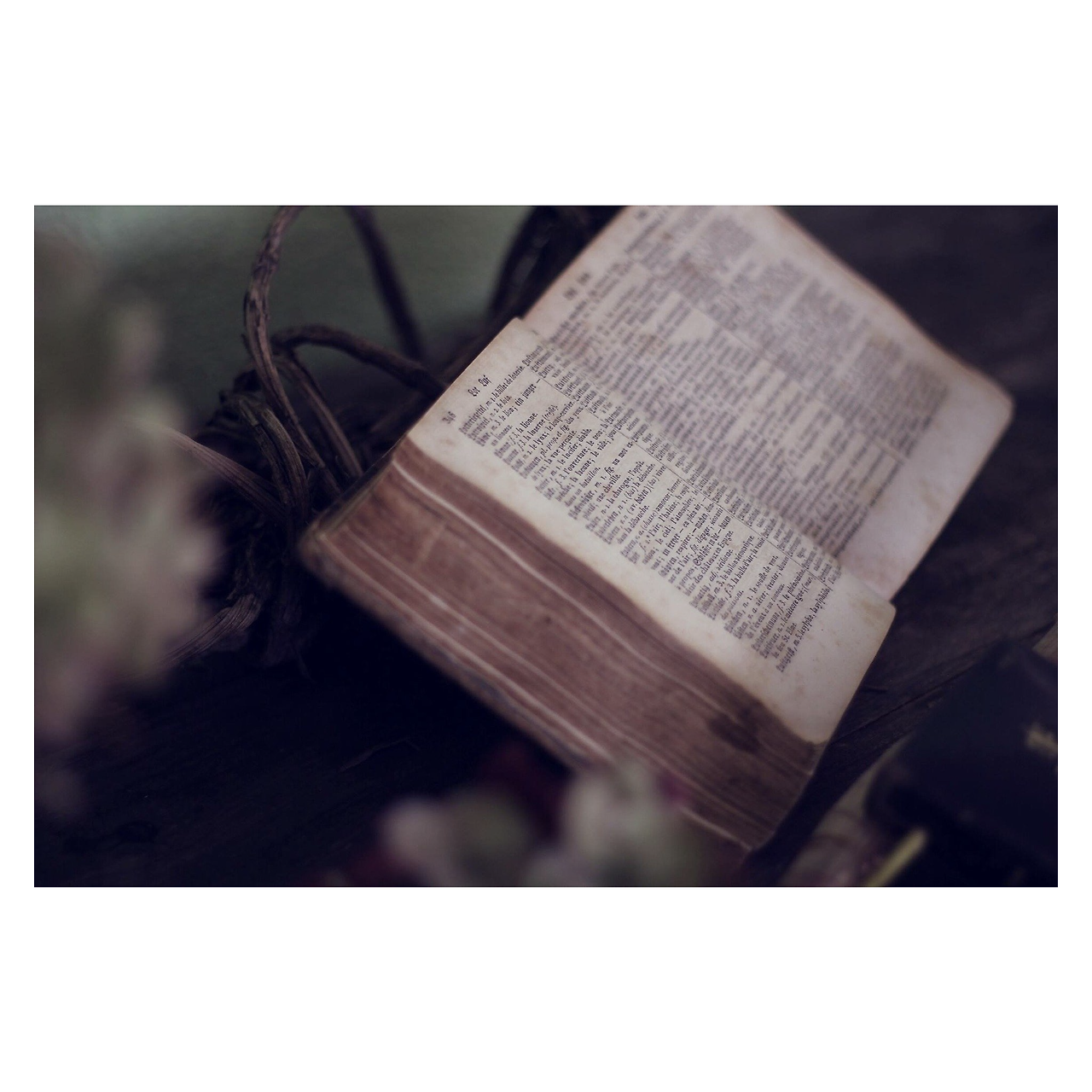 book-gfce72f9b2_1920 Edited.png