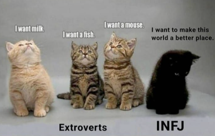 스크린샷 2025-02-05 214857.png