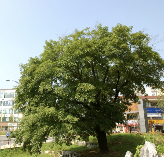 스크린샷 2025-03-22 211509.png