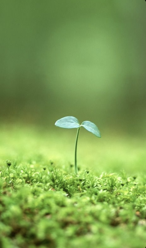 스크린샷 2024-11-21 224415.png