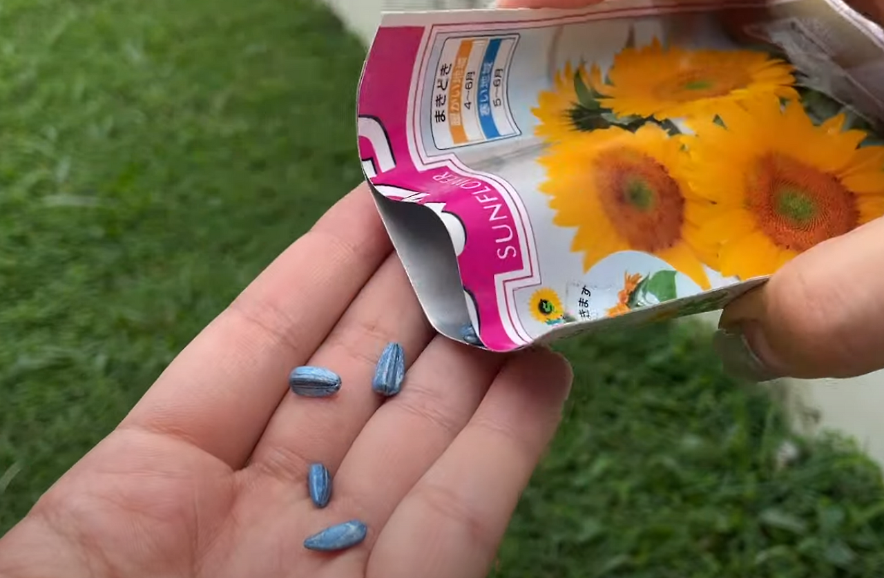 스크린샷 2024-06-19 214639.png