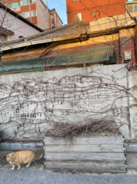 스크린샷 2025-11-28 오후 3.15.56.png