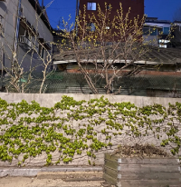 스크린샷 2025-11-28 오후 3.16.46.png