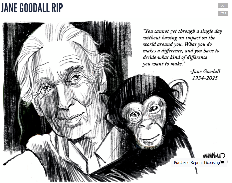 Cartoon-Jane Goodall.png