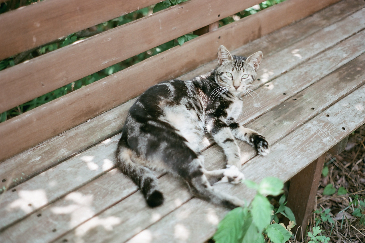 스크린샷 2025-08-02 오후 7.31.43.png