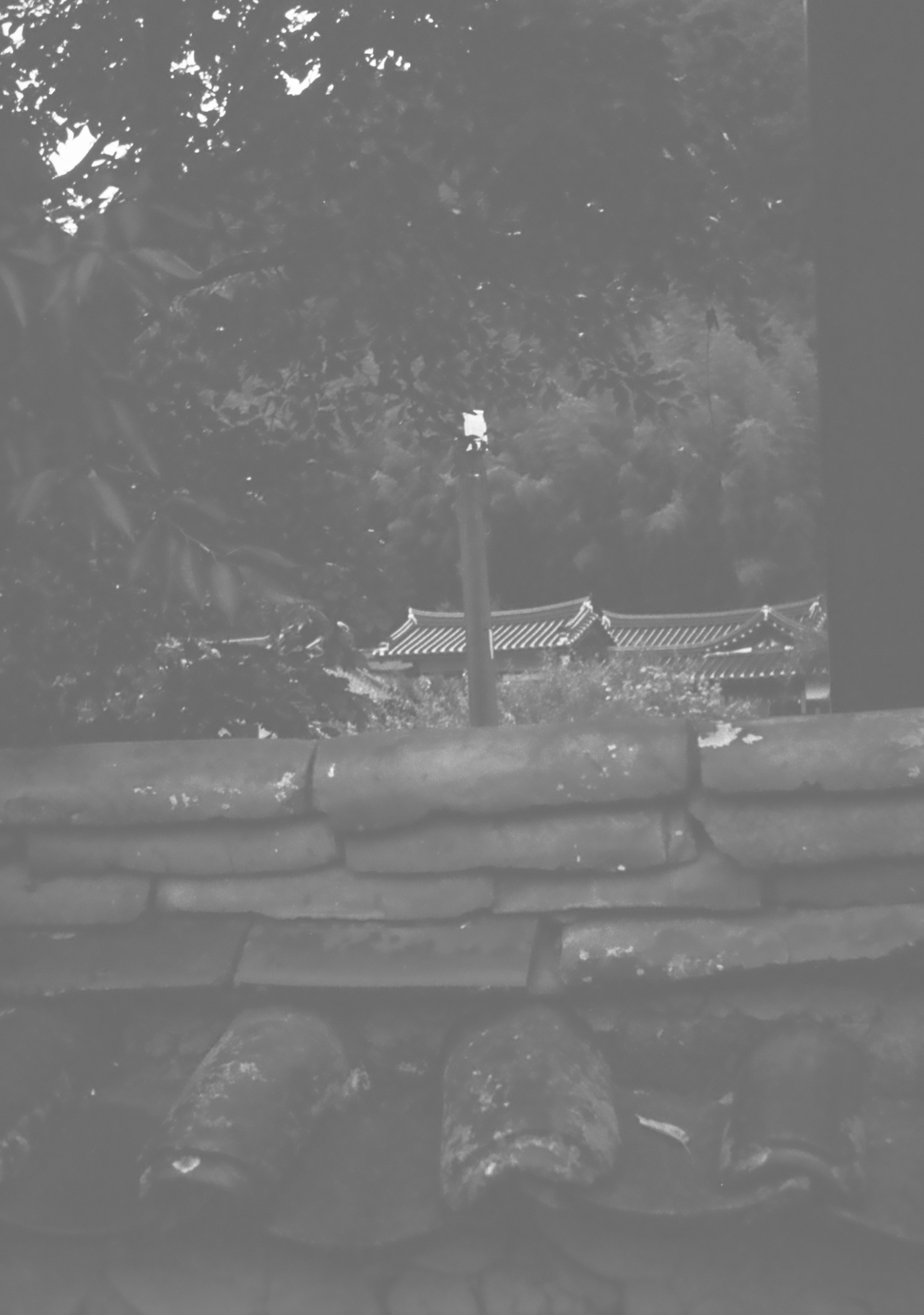 스크린샷 2025-04-06 오후 5.48.27.png