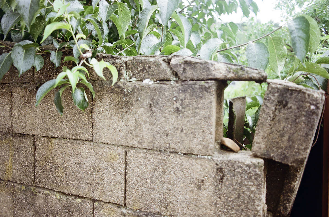 스크린샷 2025-08-02 오후 4.28.42.png