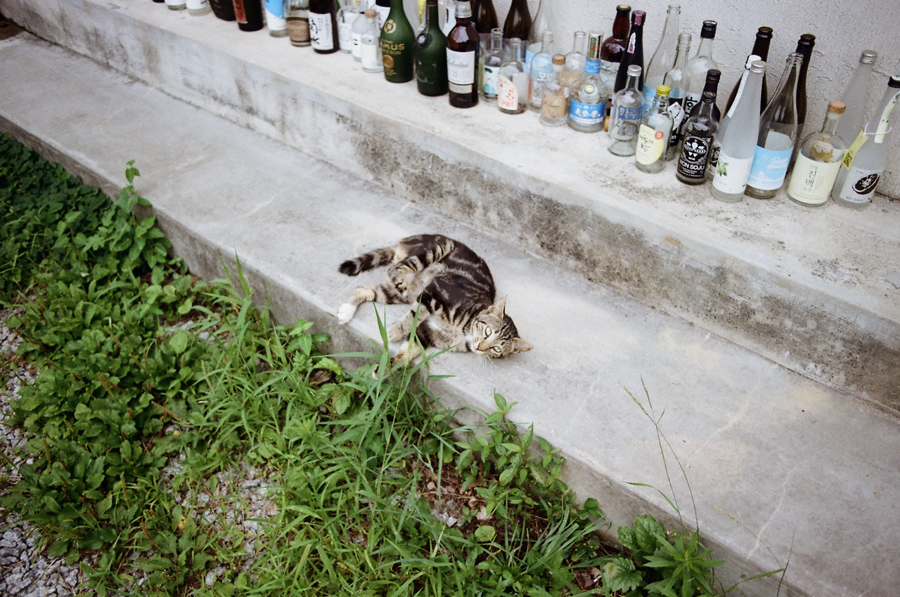 스크린샷 2025-08-02 오후 4.28.11.png