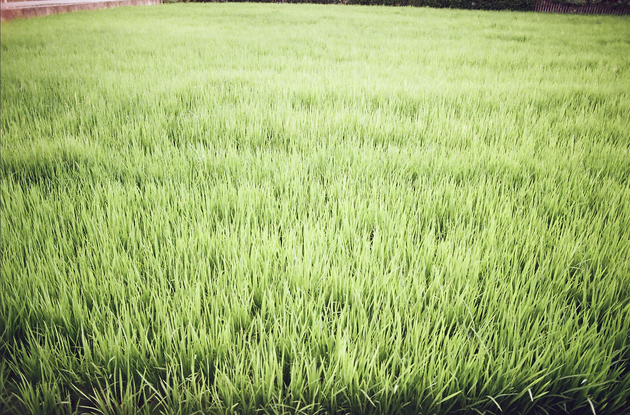 스크린샷 2025-08-02 오후 4.30.39.png