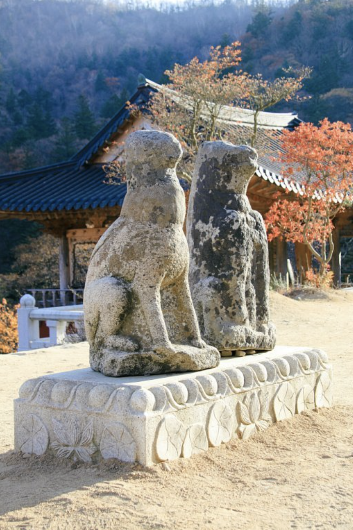 Screen Shot 2022-06-11 at 17.05.44.png