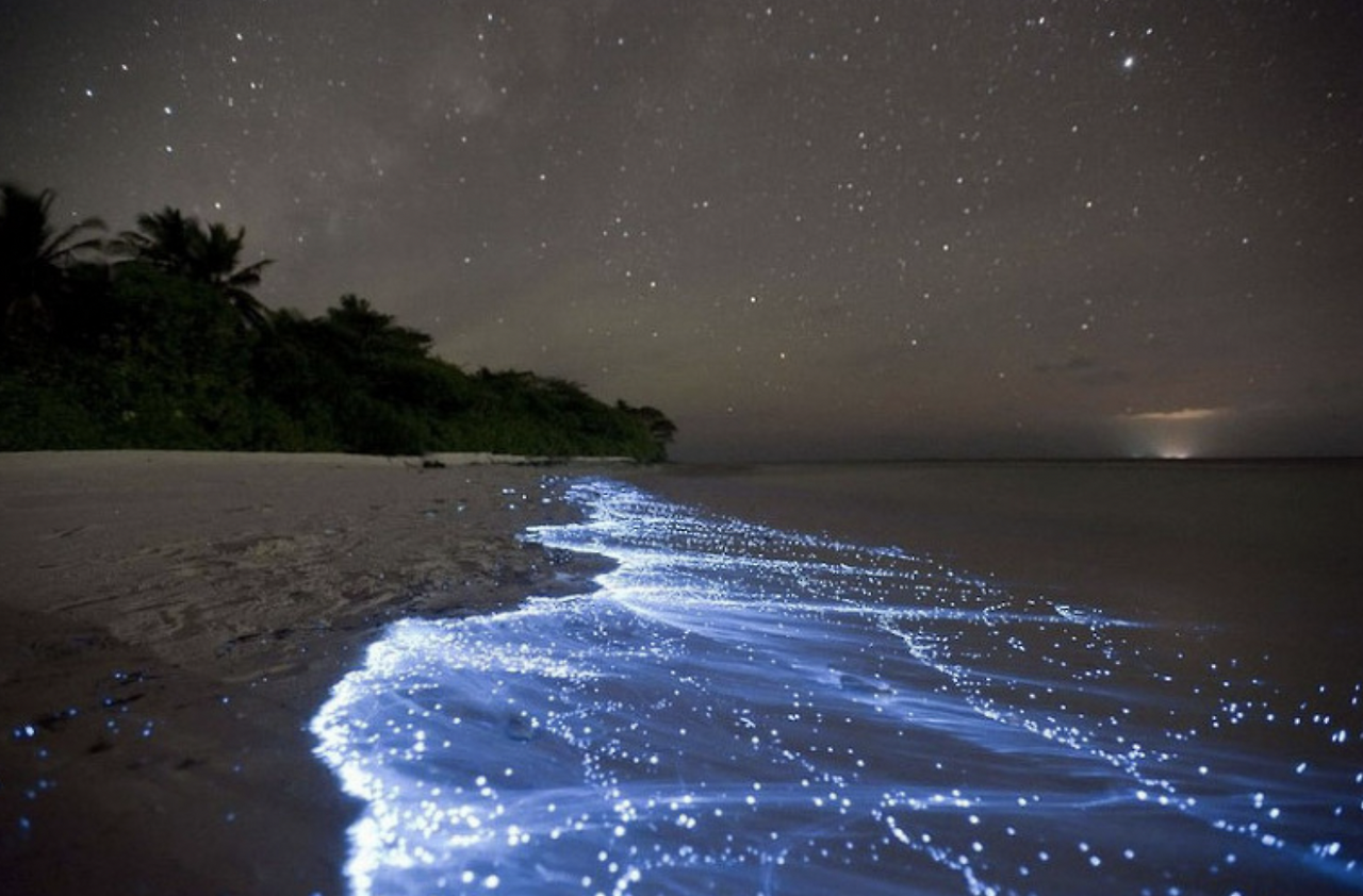 Screen Shot 2023-01-15 at 10.23.26 PM.png